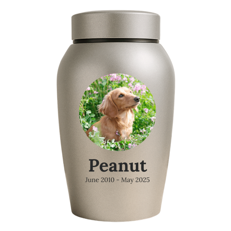Urne pour chien en acier inoxydable personnalisée avec nom, dates & photo dans un cadre halo