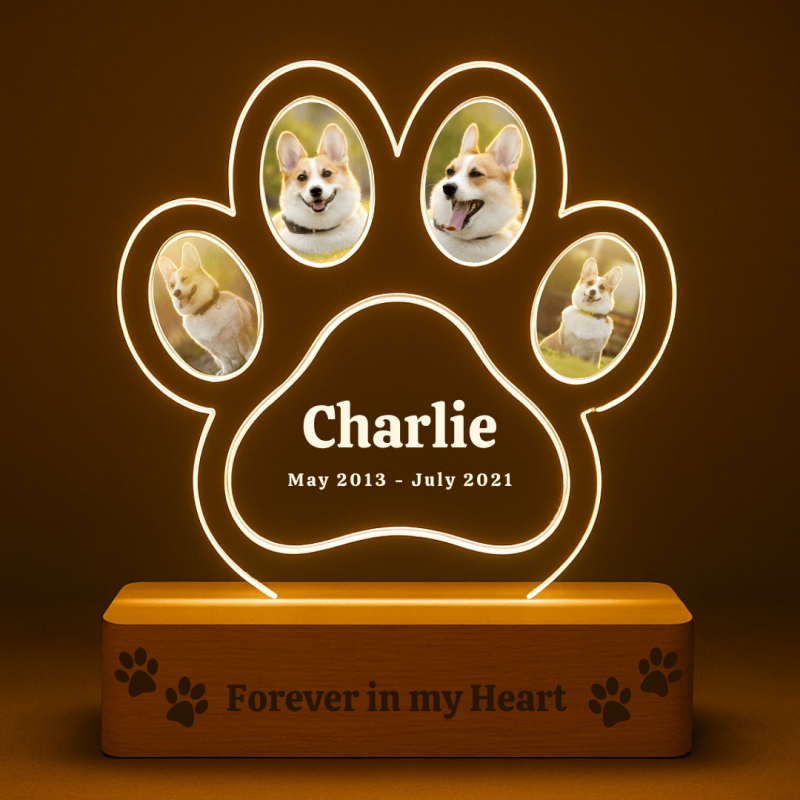 Cadre commémoratif chien 4 photos lumineux personnalisé – Plaque en acrylique patte de chien éclairage LED avec nom & dates gravés