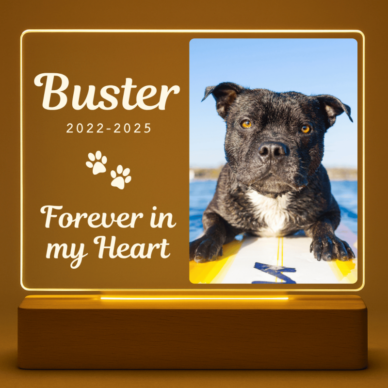 Lampe cadre photo chien personnalisé – Plaque commémorative rectangulaire en acrylique avec LED avec nom, dates & message gravés