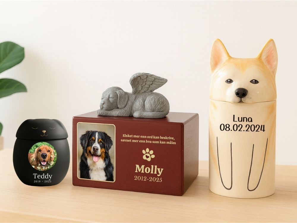 Tre hundeurner på et bord for Teddy, Tommy og Kobe, som viser ulike stiler og størrelser for kjæledyraske og minnesmerker.