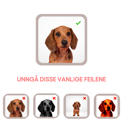 Unngå disse vanlige feilene