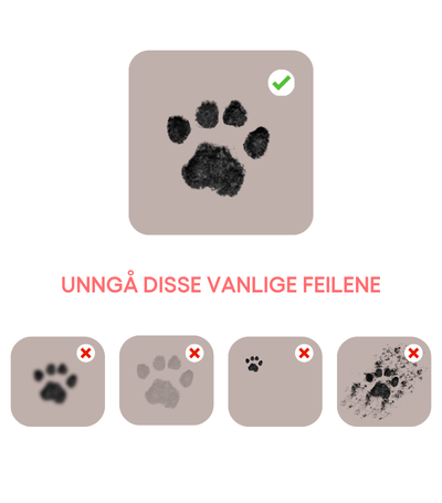 Unngå disse vanlige feilene