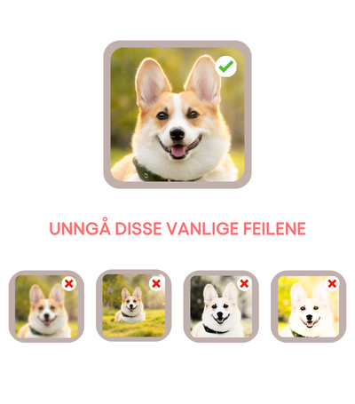 Unngå disse vanlige feilene