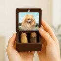 Coffret souvenir en bois pour chien personnalisé avec 2 fioles en verre pour cendres et poils, avec photo, nom & dates