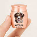 Urne funéraire pour chien personnalisée avec photo gravée – Mini urne souvenir avec nom & dates