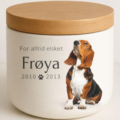 Urne funéraire pour chien personnalisée en...
