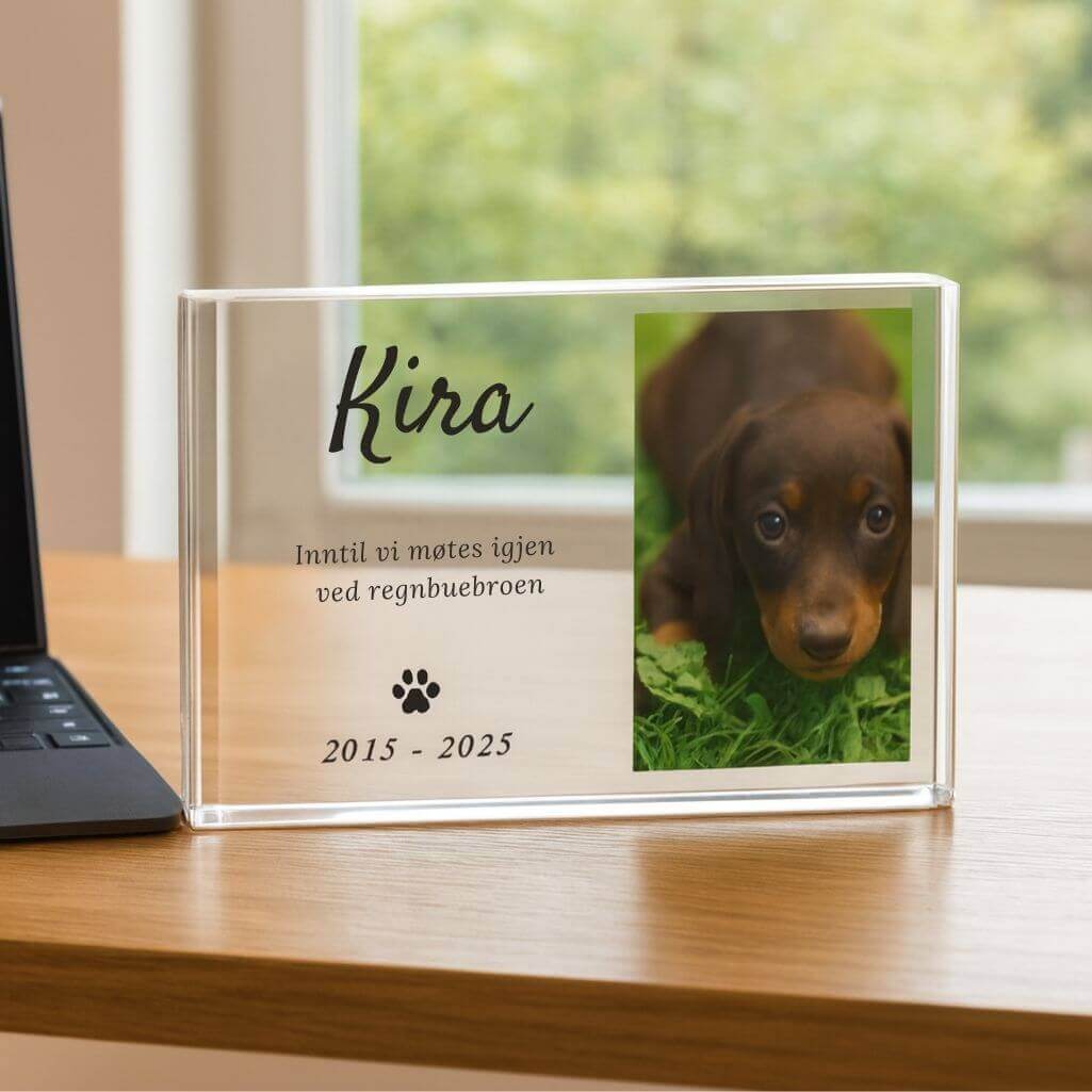 Plaque commémorative chien personnalisée – Cadre photo paysage en acrylique pour chien avec photo, nom & dates