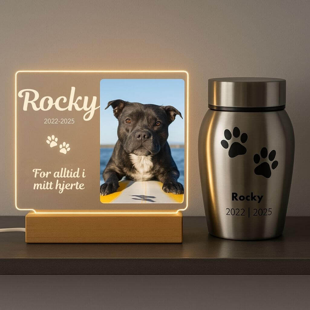 Lampe cadre photo chien personnalisé – Plaque commémorative rectangulaire en acrylique avec LED avec nom, dates & message gravés