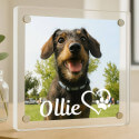 Cadre commémoratif chien personnalisé en acrylique – Plaque photo avec nom et motif cœur-patte
