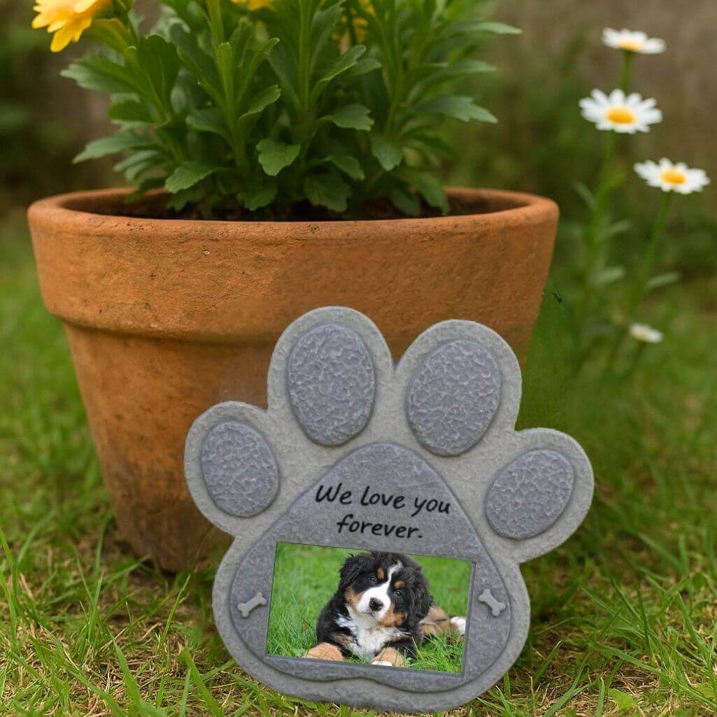 Plaque commémorative patte pour chien avec photo – Pierre souvenir en résine résistante aux intempéries pour jardin