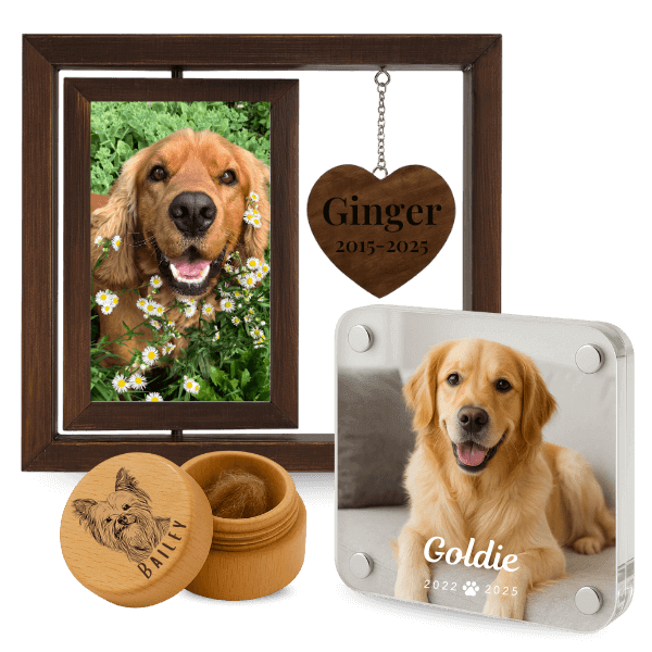Minnegaver for hund